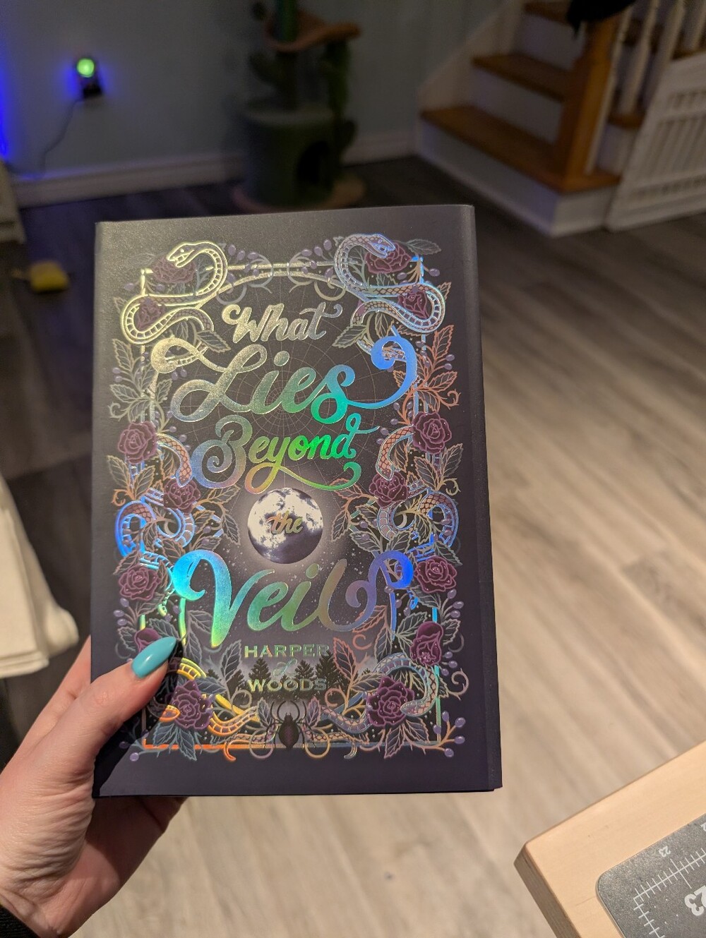 What Lies Beyond the Veil Special Edition